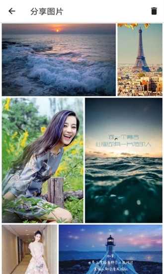 图片搜索助手