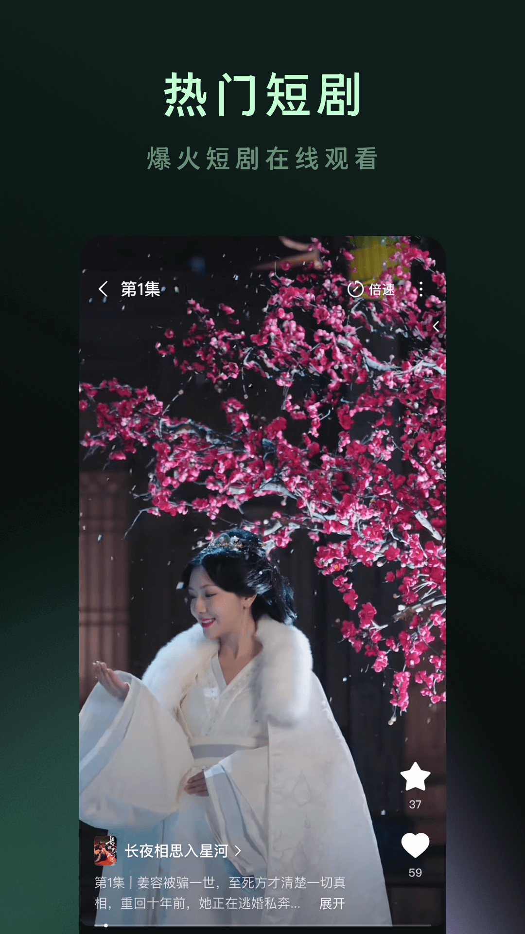 木叶免费短剧