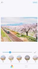 palette nara下载最新版
