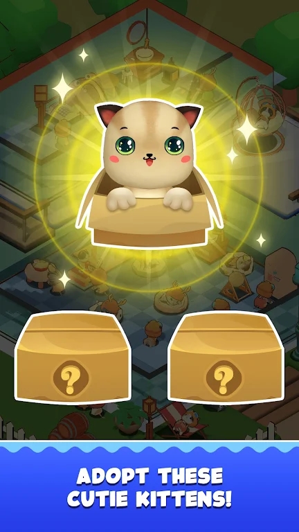 寿司猫咖啡馆 寿司猫咖啡馆