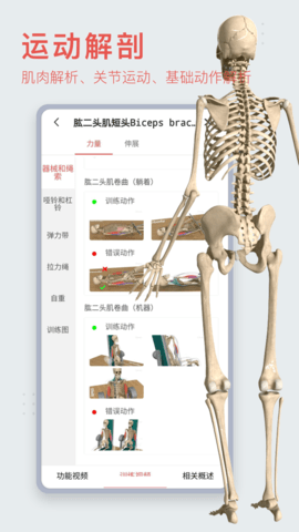 3Dbody解剖 3Dbody解剖