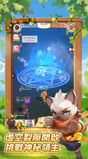 萌猫的世界 萌猫的世界
