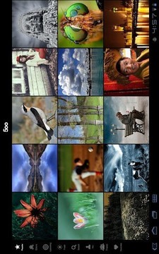 500px专业摄影师图片社区