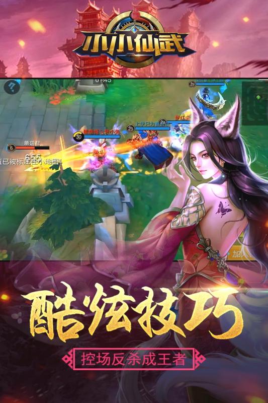 小小仙武