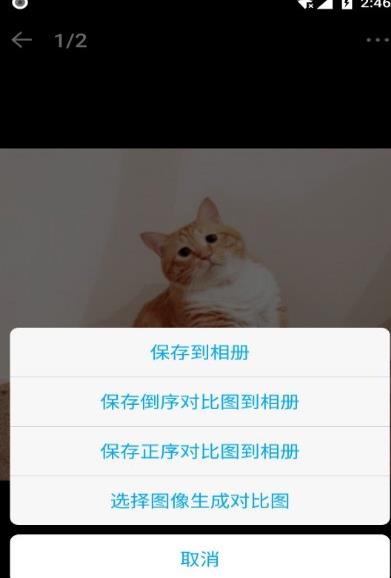 猫咪成长记
