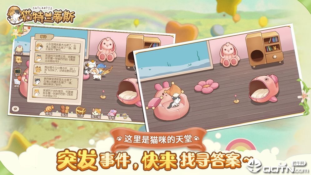 猫特兰蒂斯