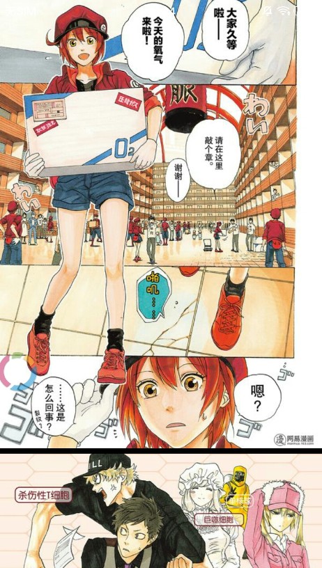 速漫 速漫