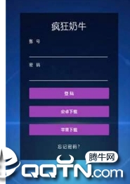 疯狂奶牛 疯狂奶牛