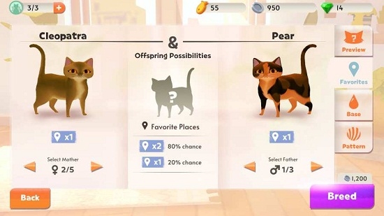 My Cat Club(我的猫舍游戏) My Cat Club(我的猫舍游戏)
