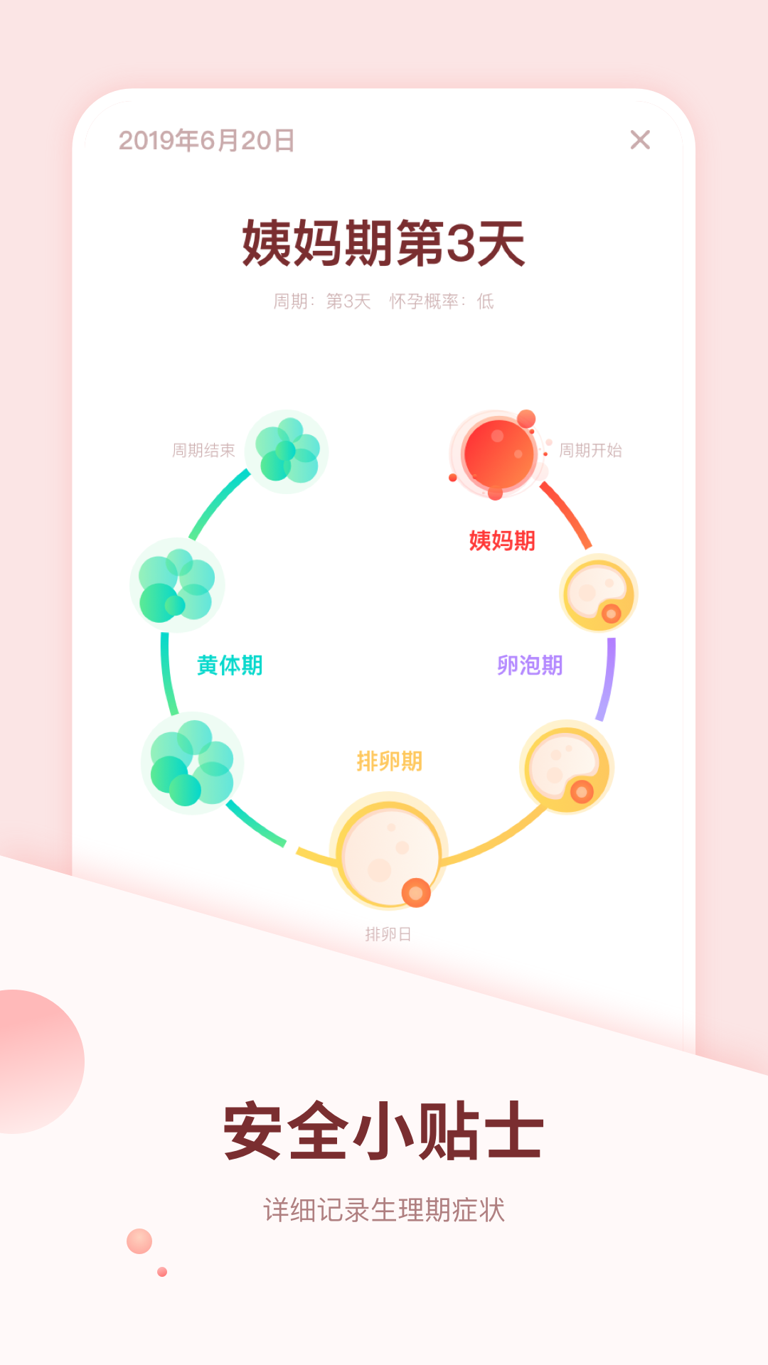 怀孕伴侣 怀孕伴侣