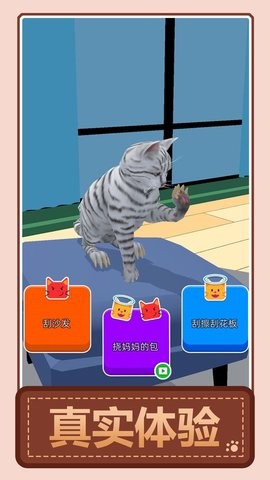 我的猫咪找不到了 我的猫咪找不到了