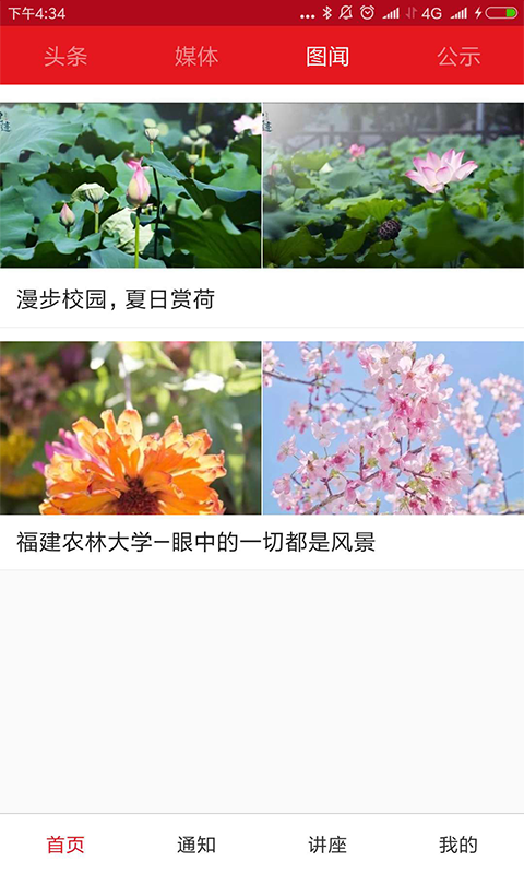 新农林