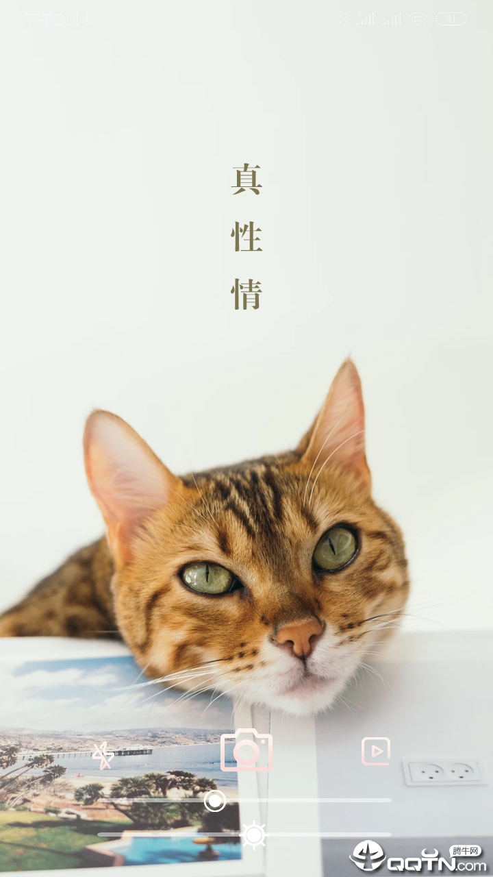 美妆镜子 美妆镜子