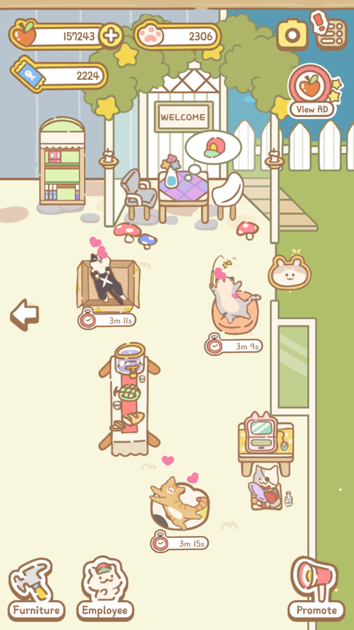 CatSpa
