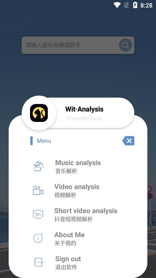 Wit·Analysis