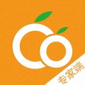 两个橙子专家端