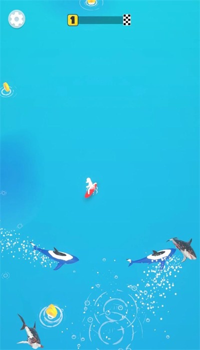 冲浪猎手 冲浪猎手