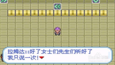 口袋妖怪火箭队汉化作弊版