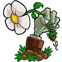 植物大战僵尸贝塔6.25 植物大战僵尸贝塔6.25