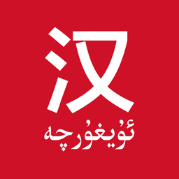 国语助手维汉语音翻译苹果版