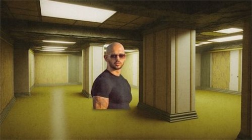 后室迷宫