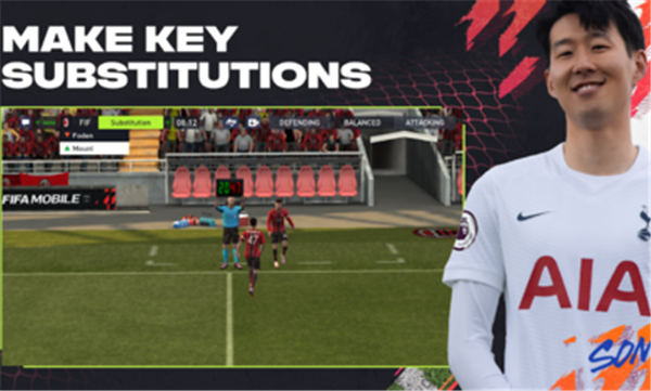 FIFA足球国际测试服