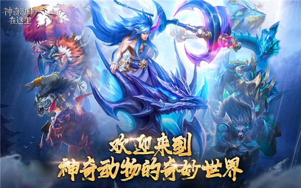 神奇动物在这里