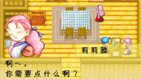 牧场物语矿石镇