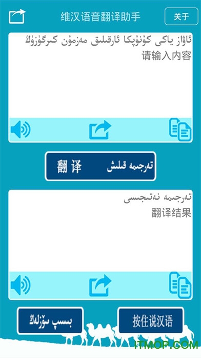 国语助手维汉语音翻译苹果版