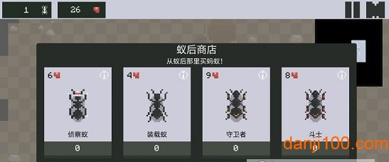 蚁群