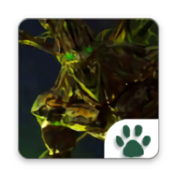 穿越火线自动开枪