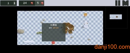 蚁群