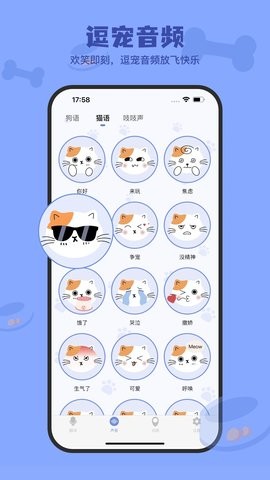 小白交流翻译app手机版 小白交流翻译app手机版