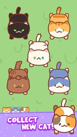 CatOut: CatJamEscape