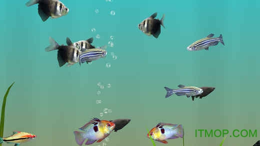 我的水族箱3D(MyLake 3D Aquarium) 我的水族箱3D(MyLake 3D Aquarium)