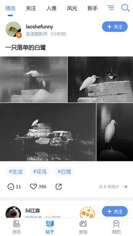 蜂鸟摄影 蜂鸟摄影