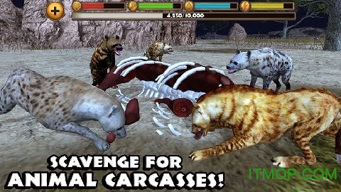 终极鬣狗模拟器内购破解版