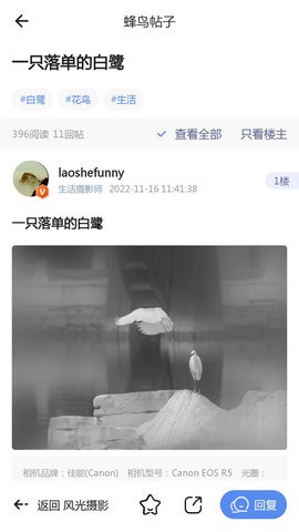 蜂鸟摄影 蜂鸟摄影
