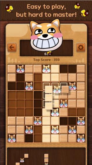 木块数独谜题 木块数独谜题