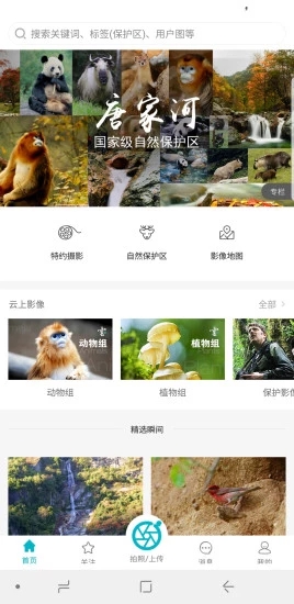 云上中国