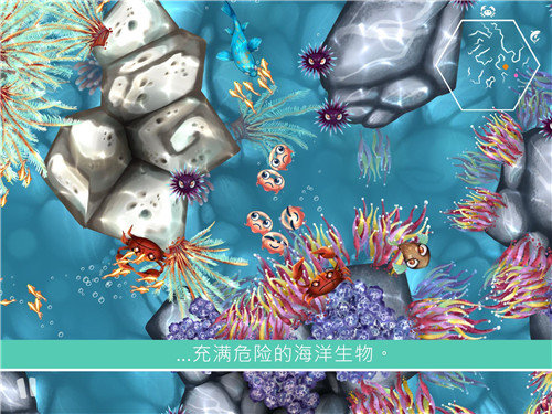 水母暗礁Jelly Reef 水母暗礁Jelly Reef
