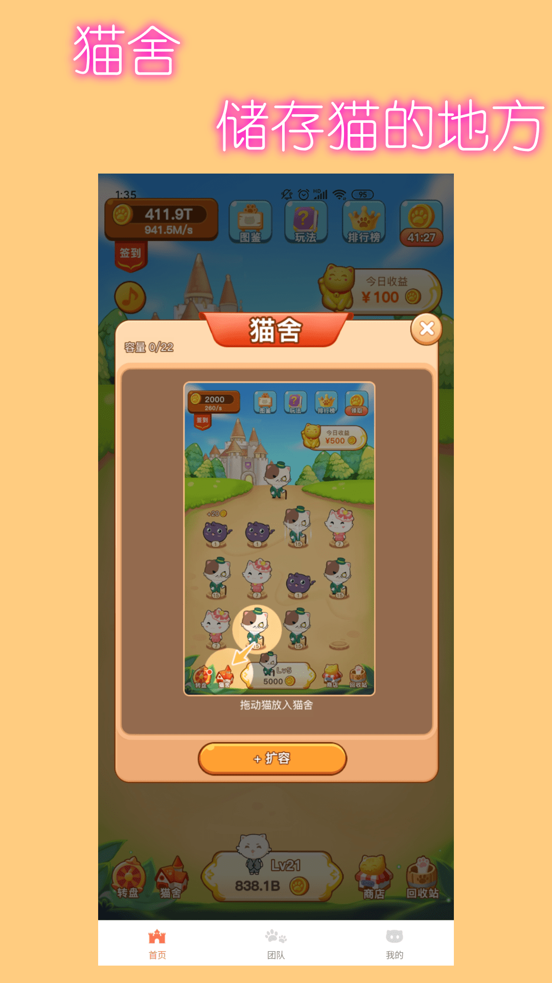 小猫升级 小猫升级