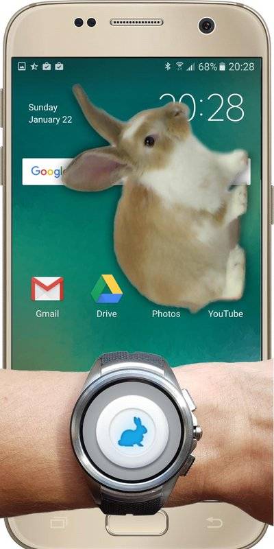 Bunny In Phone Cute joke兔子在手机可爱的笑话中文版
