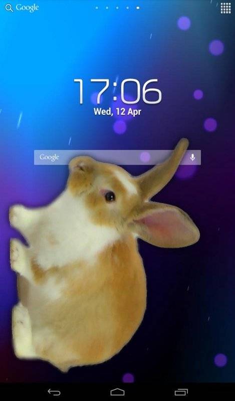 Bunny In Phone Cute joke兔子在手机可爱的笑话中文版