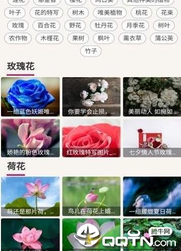 哇图库