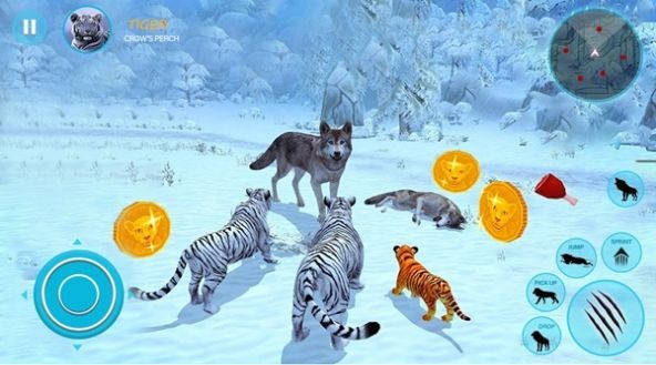 野生白虎家庭模拟Wild White Tiger Family Sim 野生白虎家庭模拟Wild White Tiger Family Sim