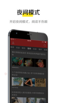 掌上头条