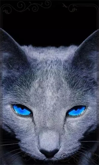 大猫锁屏精灵 大猫锁屏精灵