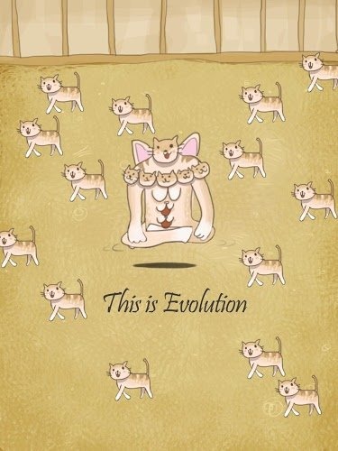 小猫进化大派对中文版(Cat Evolution Party)
