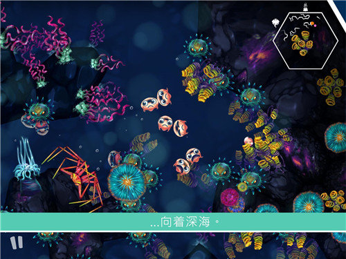 水母暗礁Jelly Reef 水母暗礁Jelly Reef